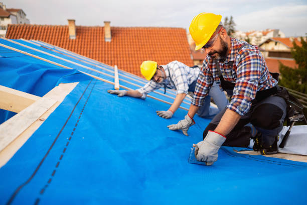 Best Chimney Flashing Repair  in Baxter Estates, NY